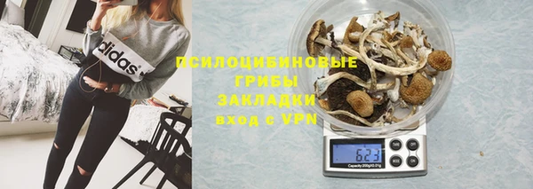 каннабис Коряжма