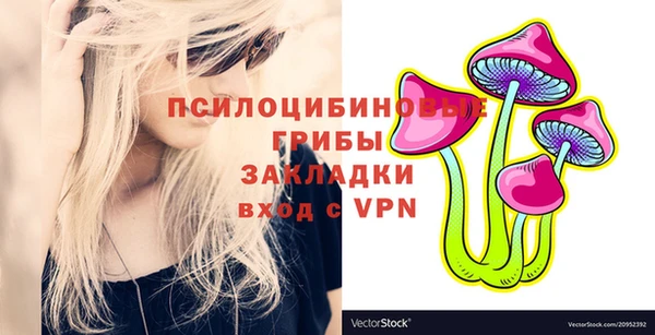каннабис Коряжма