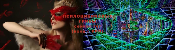 каннабис Коряжма
